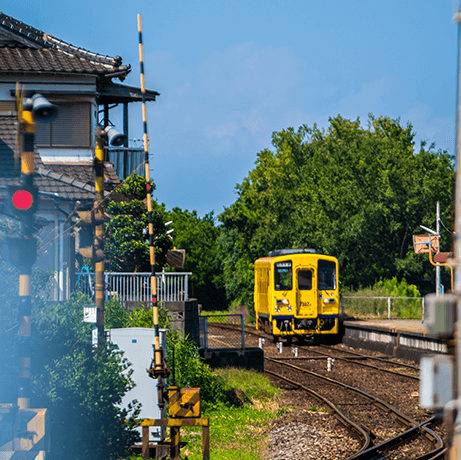 黄色い列車3