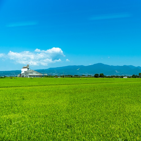 田園風景