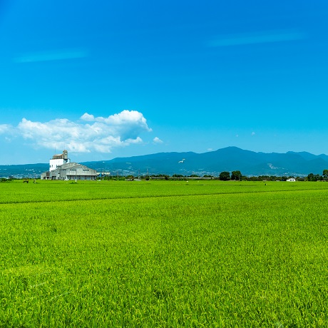 田園風景