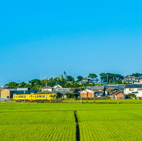 田んぼ